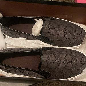 CHRISSY OUTLINE OUTLINE SIG C/NAP